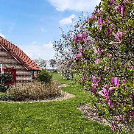 Stunning In With Wifi Vakantiehuis